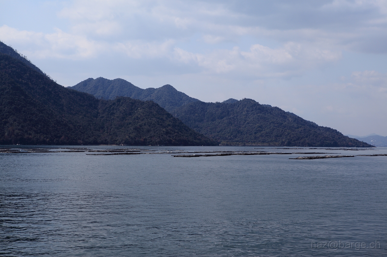 EOS 5D Mark II10_04_20134182.JPG